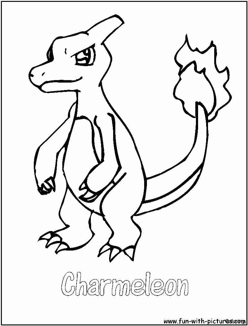 800x1050 Beautiful Mega Charizard Coloring Pages With And Online Charmander