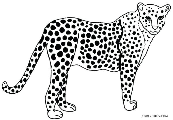 600x414 Cheetah Coloring Pages Cheetah Coloring Pages Online Realistic