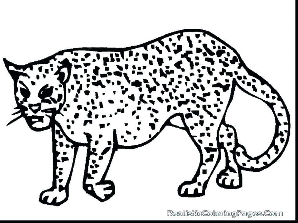970x727 Cheetah Coloring Pages Cheetah Coloring Pages To Print Cheetah