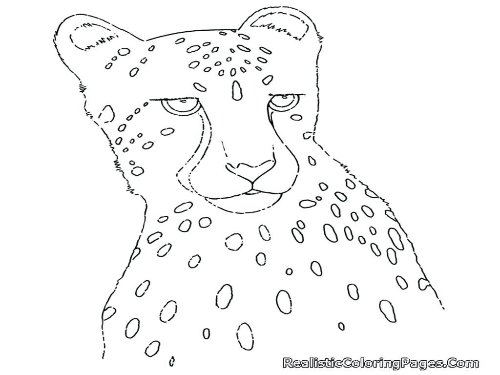 1024x768 Coloring Pages Cheetah Coloring Page Pages For Adults Only