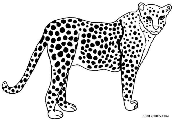 600x414 Printable Cheetah Coloring Pages For Kids