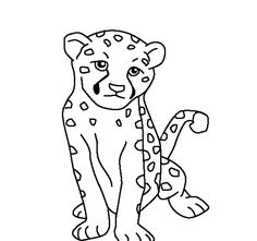 236x221 Cheetah Color Sheet Cheetah Coloring Pages Coloring Pages