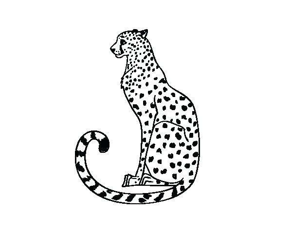 600x470 Cheetah Coloring Pages To Print