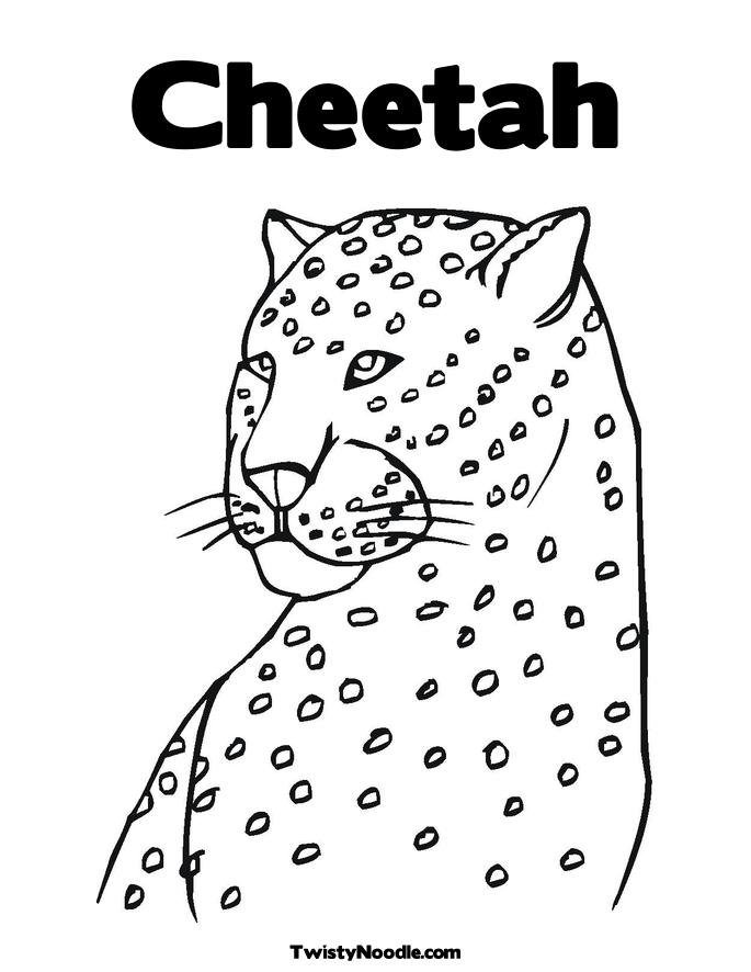 685x886 Cheetah Coloring Page