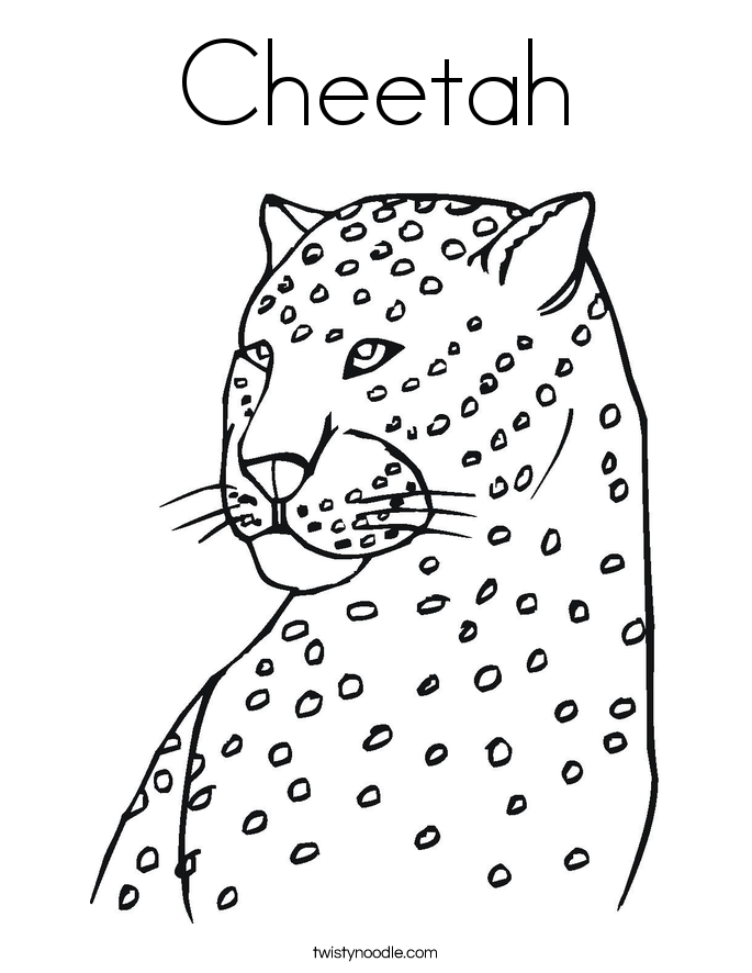 685x886 Cheetah Coloring Page