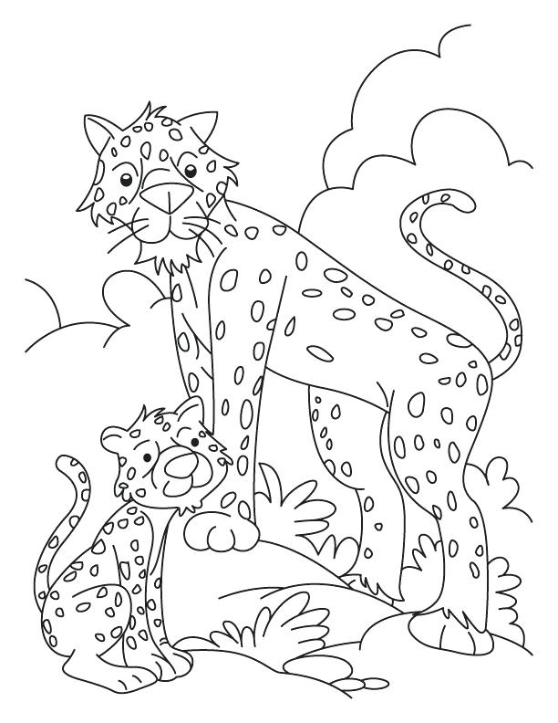 612x792 Coloring Pages Online Flowers Cheetah And Cub Download Free
