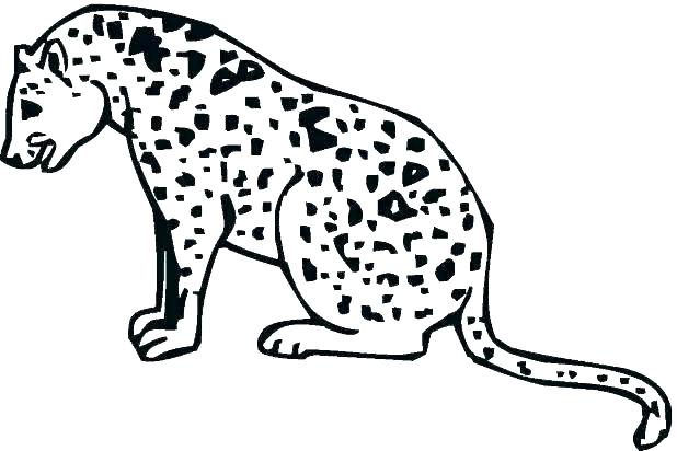618x412 Coloring Pictures Cheetah Cubs Printable Coloring Cheetah Coloring