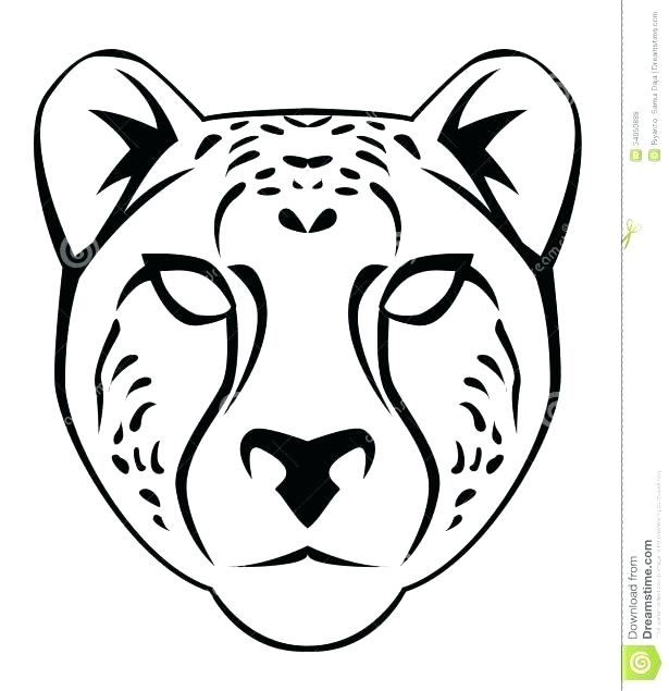 615x635 Drawn Cheetah Coloring Page Pin Pencil And In Color Pages Free