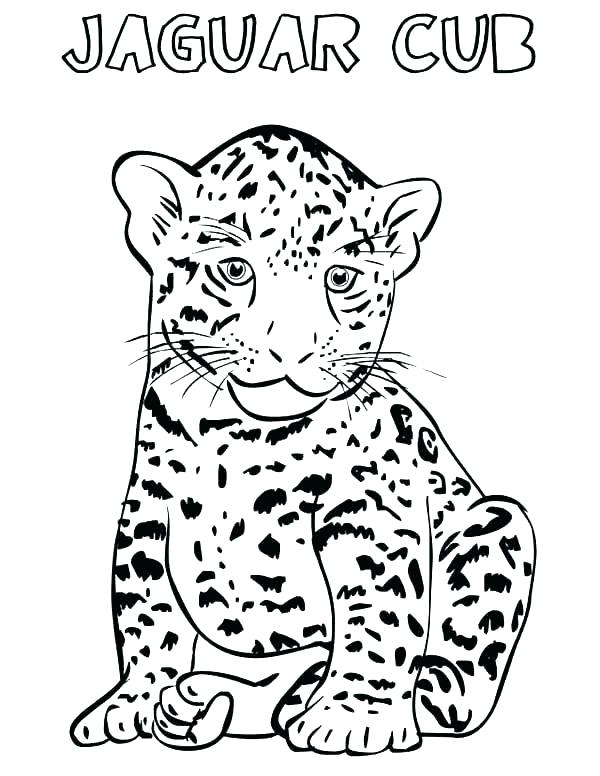 600x776 Free Printable Cheetah Coloring Pages For Kids Cheetah Cub
