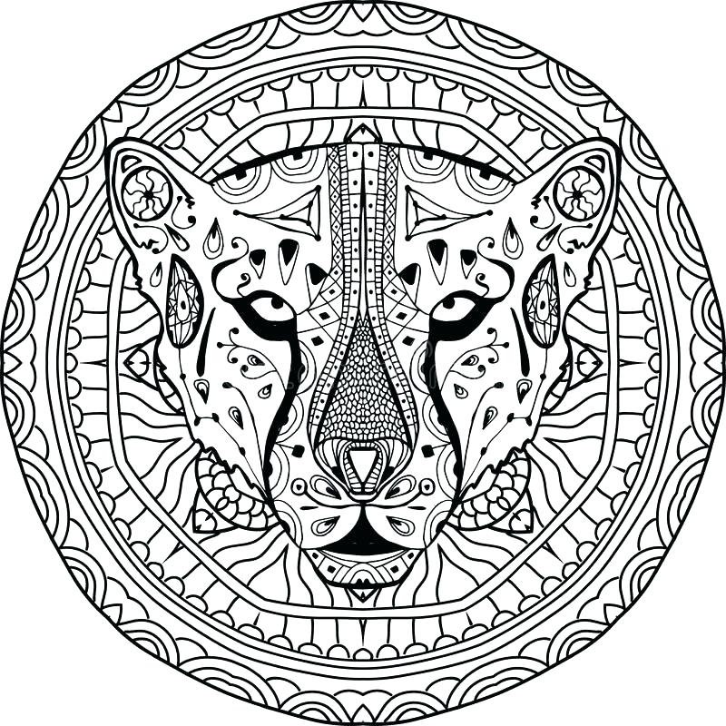 800x800 Pictures Of Cheetah Coloring Pages Cheetah Coloring Pages