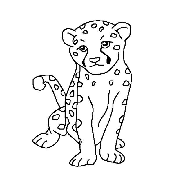600x600 Printable Baby Cheetah Coloring Pages