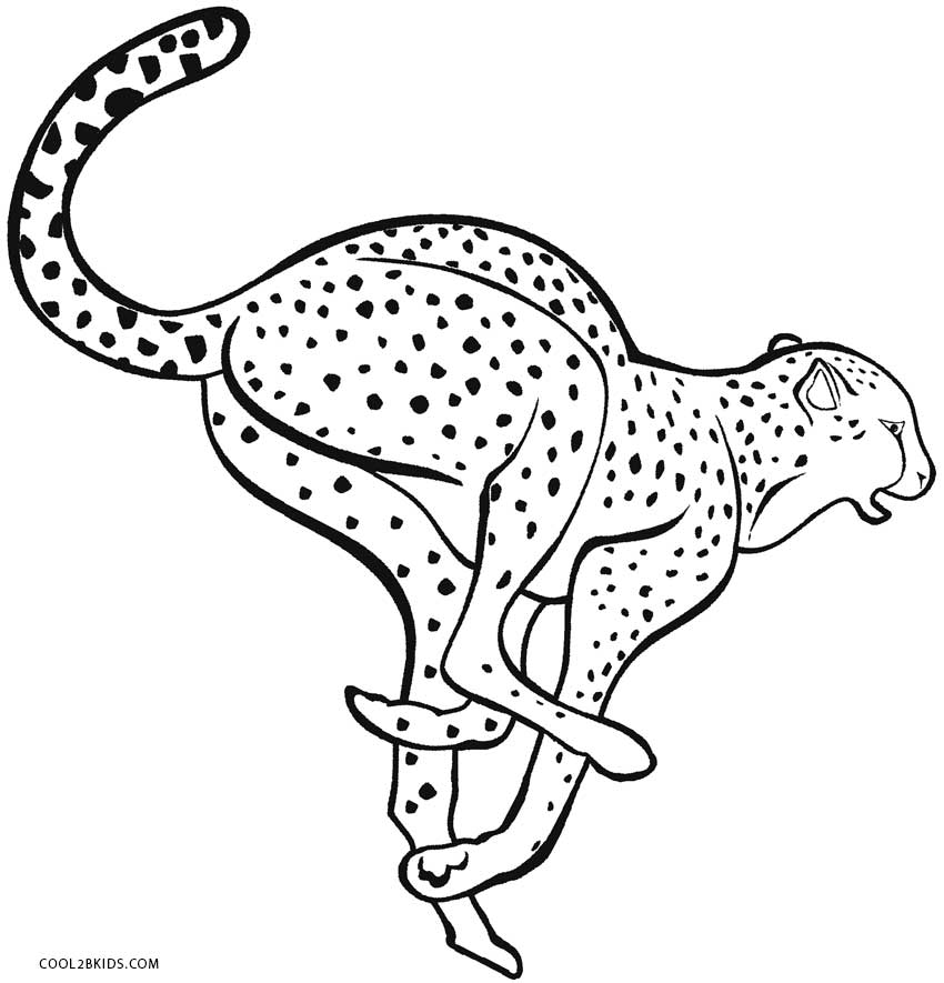850x885 Printable Cheetah Coloring Pages For Kids