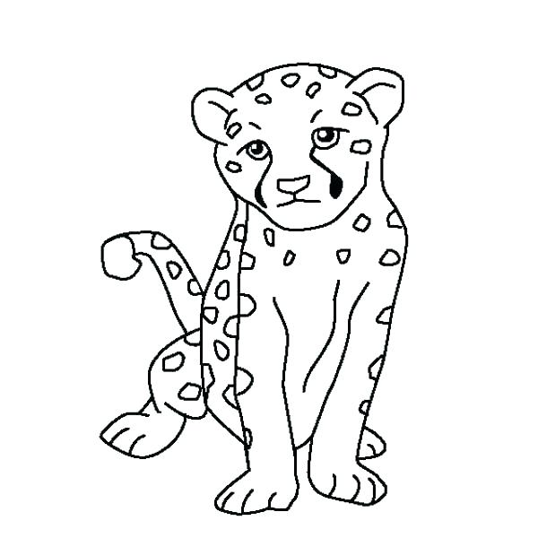 600x600 Coloring Pages Of Cheetahs Cheetah Coloring Pages Free To Print