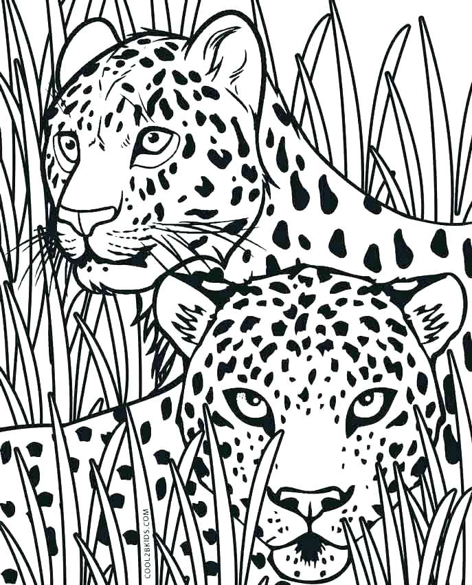 687x850 Cheetah Coloring Page Printable Kids Coloring Cheetah Coloring