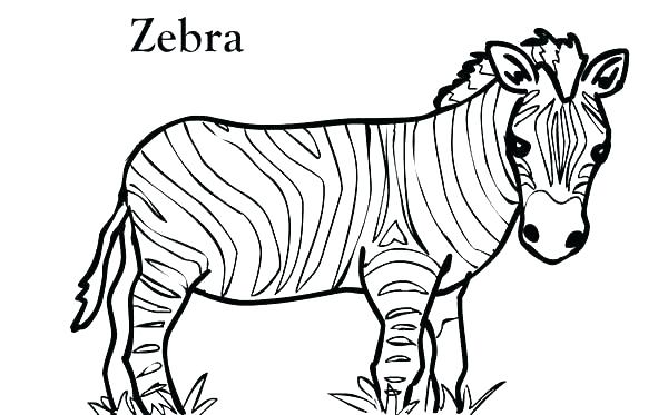 600x373 Cheetah Running Coloring Pages Kids Coloring Cheetah Print