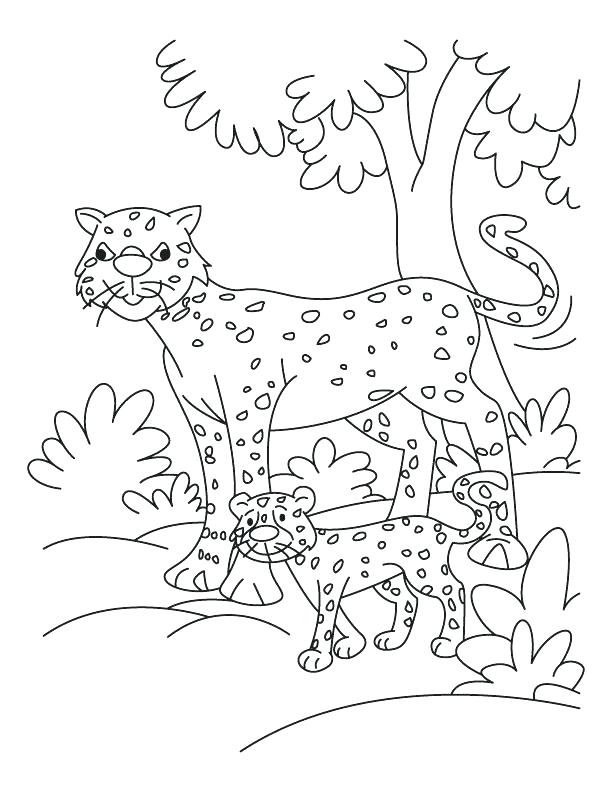 612x792 Coloring Pages Of Cheetahs Cheetah Girls Coloring Pages Coloring