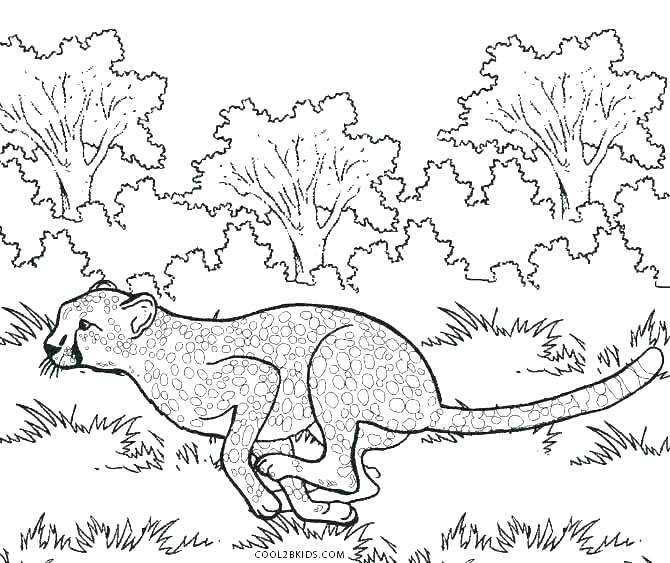 670x563 Printable Cheetah Coloring Pages For Kids Running Cheetah Coloring