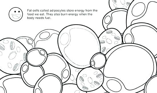 550x326 Printable Comic Pages Chemistry Coloring Pages The Story Behind
