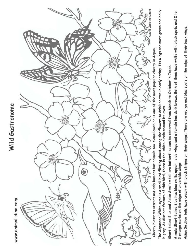 757x980 Coloring Page Happy Orange Blossom Strawberry Shortcake Tattoo