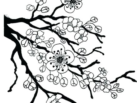 440x330 Geisha Coloring Pages Cherry Blossom Flower Coloring Page Fun