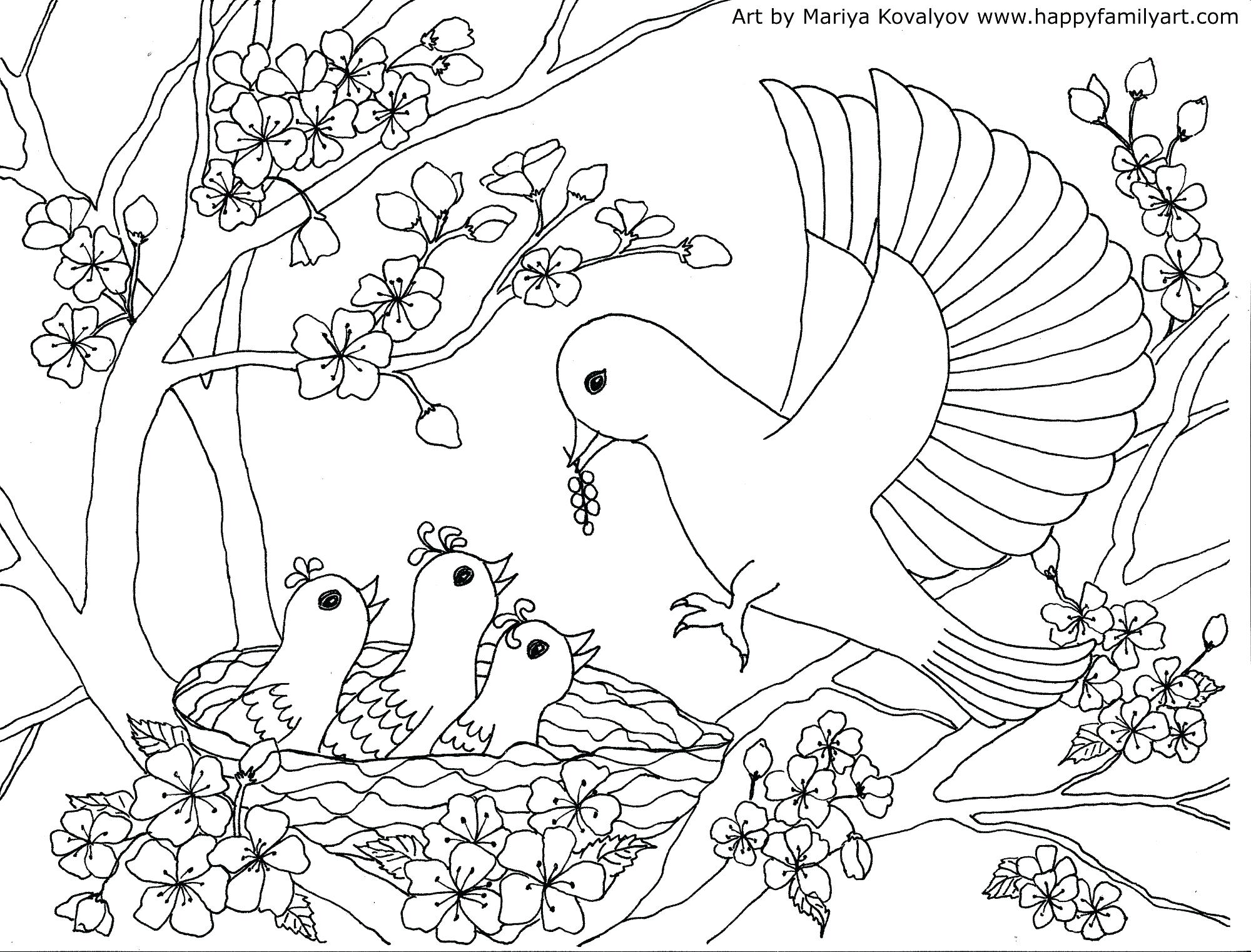 2000x1522 Proven Cherry Blossom Coloring Pages Theotix M