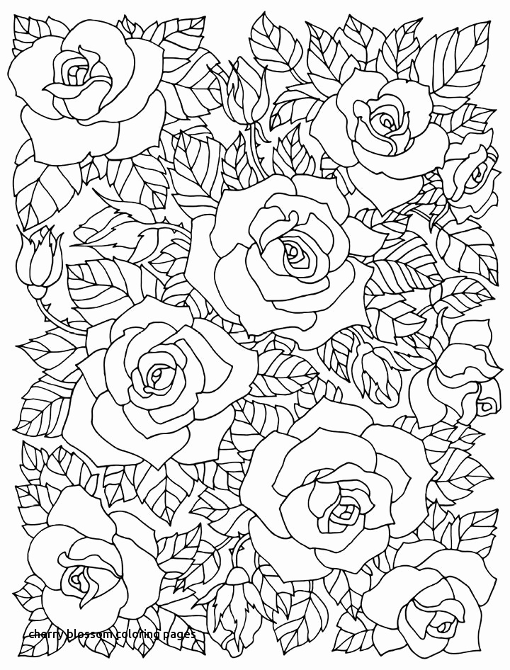 720x946 Cherry Blossom Tree Coloring Page Beautiful Best Coloring Pages