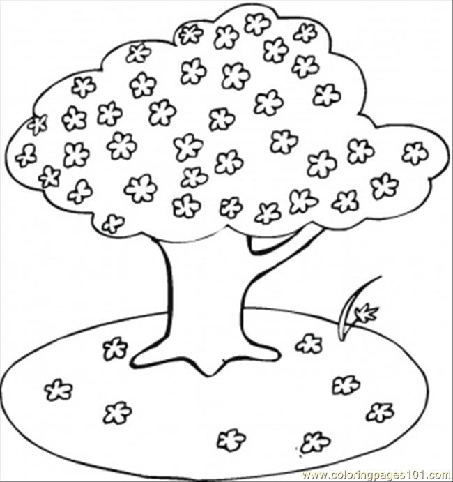 650x691 Ing Cherry Tree Coloring Page Coloring Page