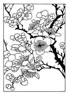236x325 Cherry Tree Blossom Coloring Page Quilts