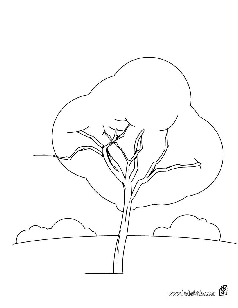 820x1060 Maple Tree Coloring Pages