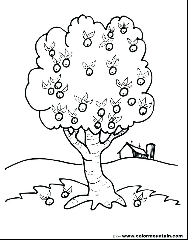 618x787 Tree Leaves Coloring Pages Chestnut Tree Trees Leaves Coloring
