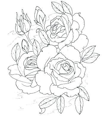 357x400 Chewbacca Coloring Pages Coloring Pages Coloring Pages Coloring