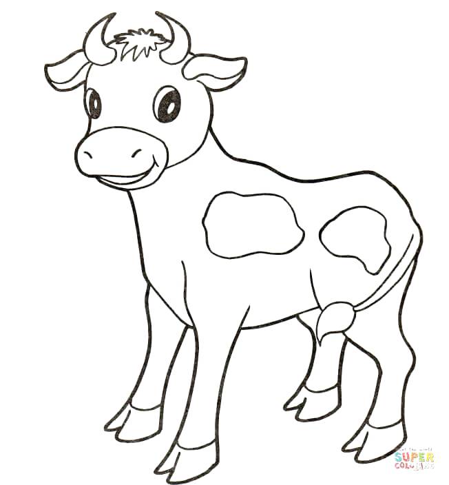 652x704 Colorear Chicago Bulls Baby Cow Coloring Page Free Printable