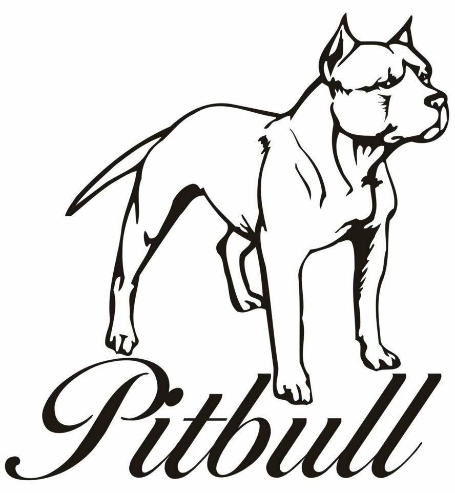 888x962 Pitbull Coloring Pages Coloring Pages New Coloring Sheets
