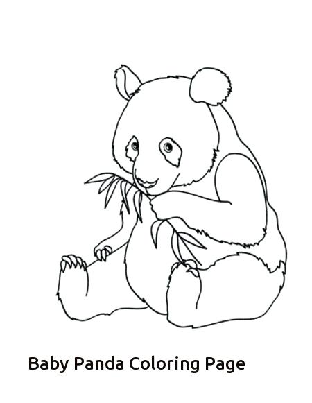 450x581 Chicka Chicka Boom Boom Coloring Page Explore Kindergarten