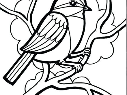 440x330 Chickadee Coloring Page Coloring Pagesline Best Images