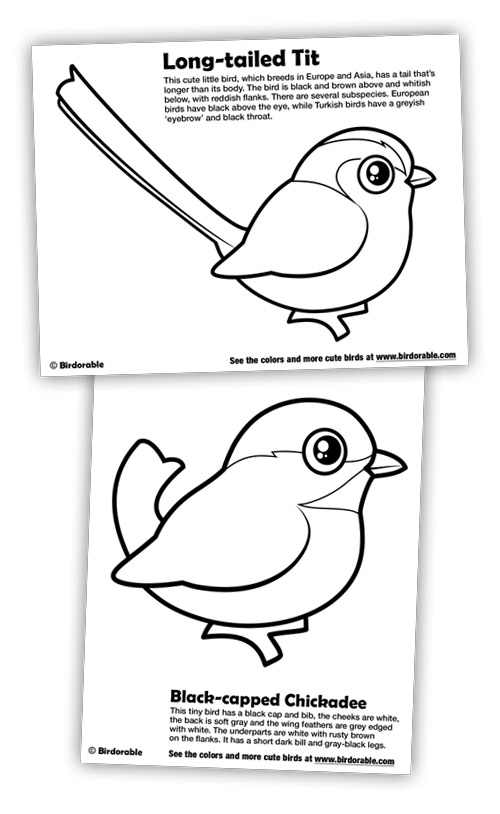 500x814 New Coloring Pages Black Capped Chickadee And Long Tailed Tit