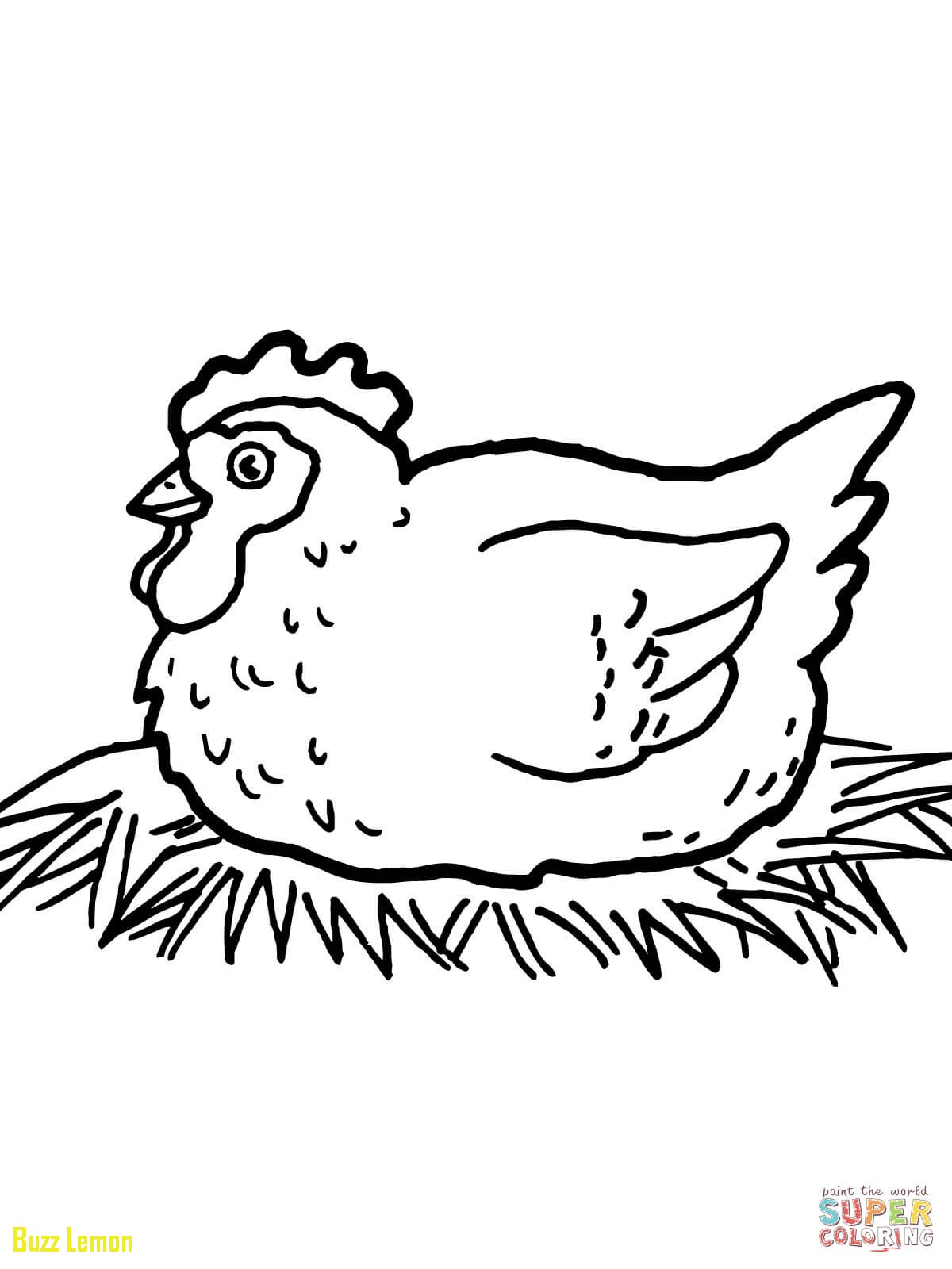 1200x1600 Coloring Page Chicken Fresh Chicken Coloring Pages Free Coloring