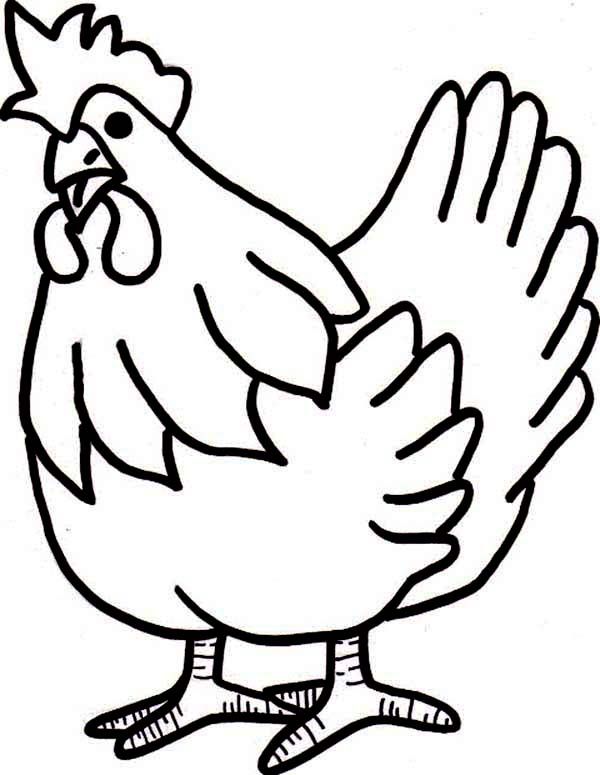600x775 Image Result For A Drawing Of A Chicken Jazamain