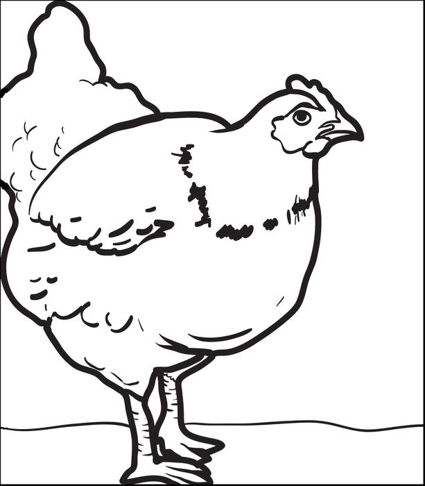 613x700 Chick Coloring Pages
