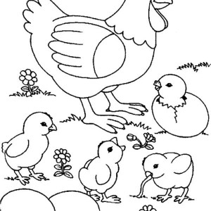 300x300 Picture Mother Of Chicken Coloring Page Coloring Sun
