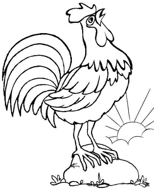 600x744 Free Printable Chicken Coloring Pages How To Print Free