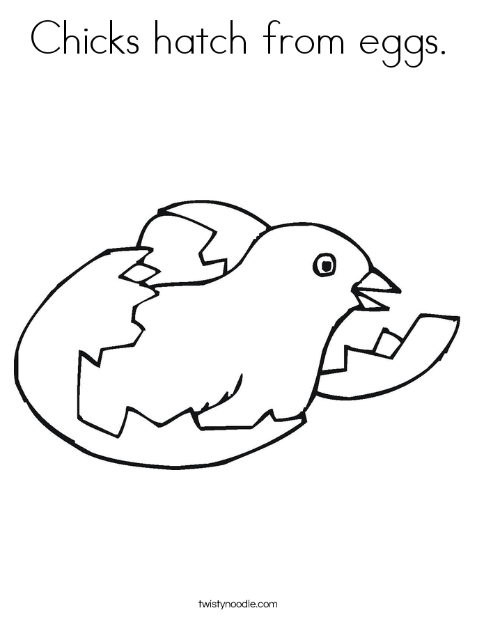 685x886 Chicks Hatch From Eggs Coloring Page