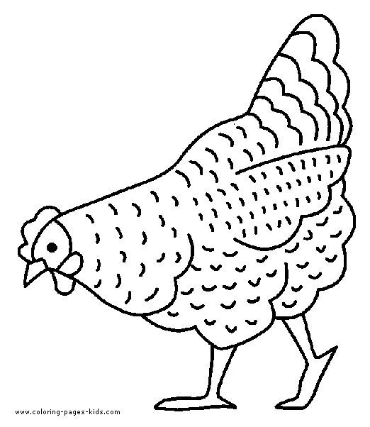 522x602 Chicken Looking For Food Color Page