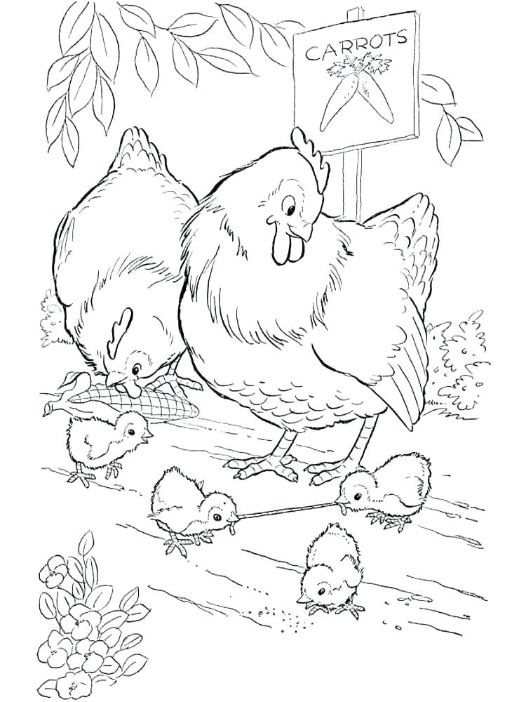 750x1000 Free Printable Plump Chicken Coloring Page For Kids Clip Art