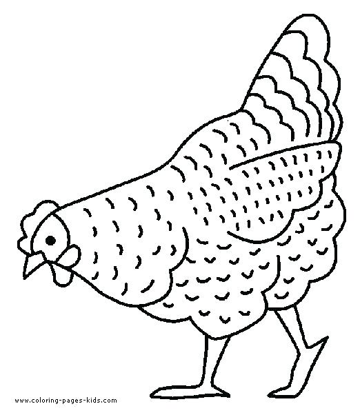 522x602 Hen For Coloring