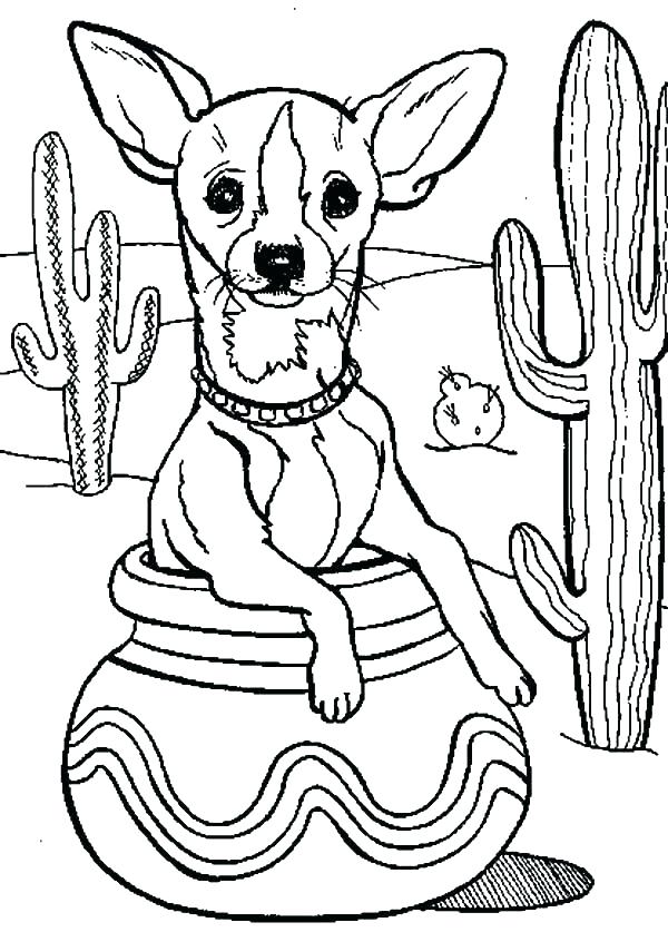 Adult Coloring Pages Printable Chihuahua Coloring Pages