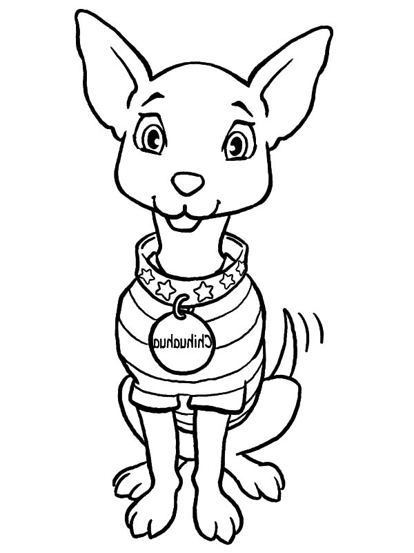600x801 Chihuahua Dog Fashion Show Coloring Pages