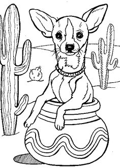 236x329 D Chihuahua Coloring Spectacular Chihuahua Coloring Page