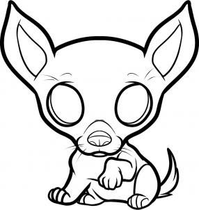 286x302 How To Draw A Chihuahua Puppy, Chihuahua Puppy Step Drawing