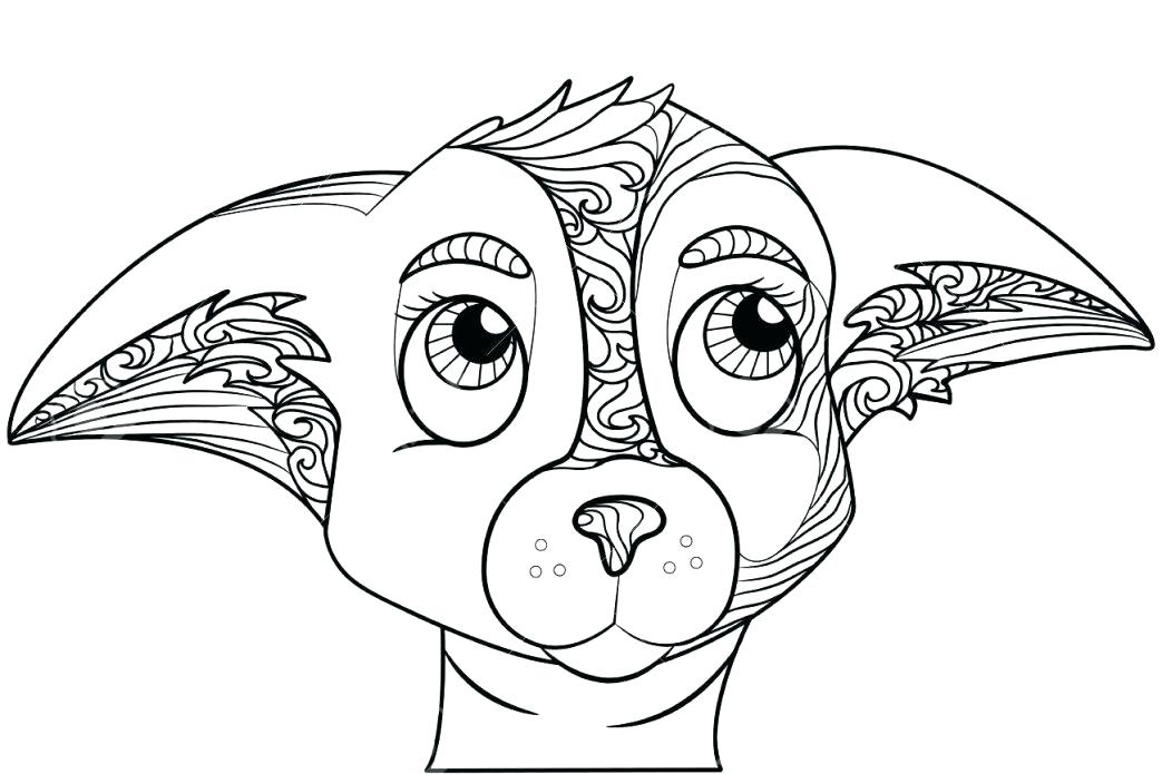 1043x695 Chihuahua Coloring Page Chihuahua Coloring Page Coloring Pages
